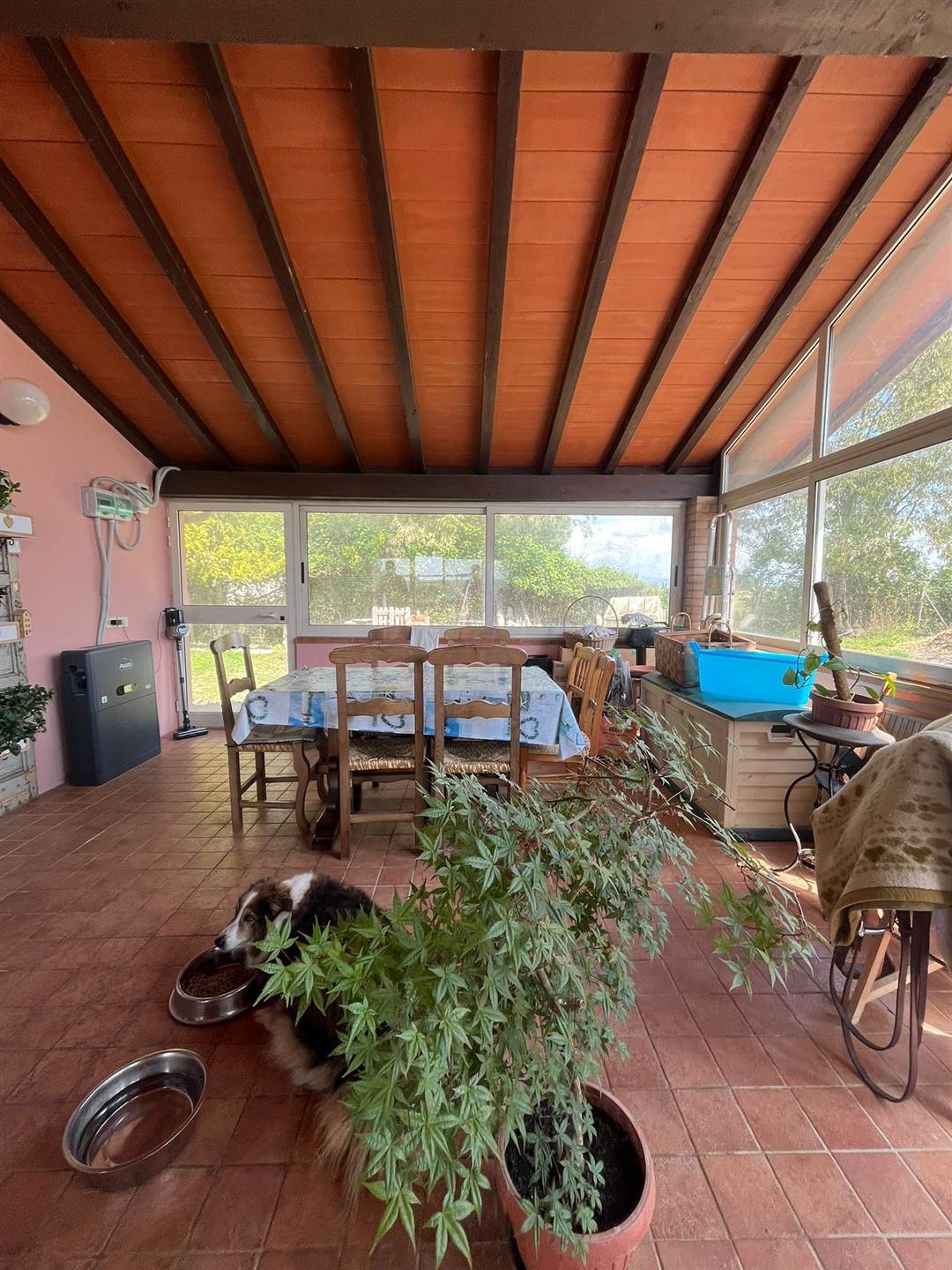 property_image