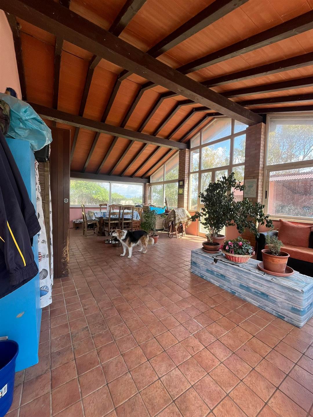 property_image