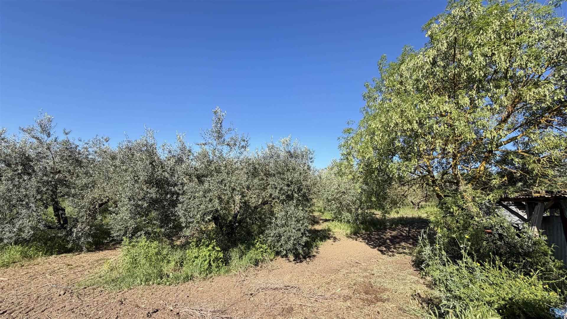 property_image