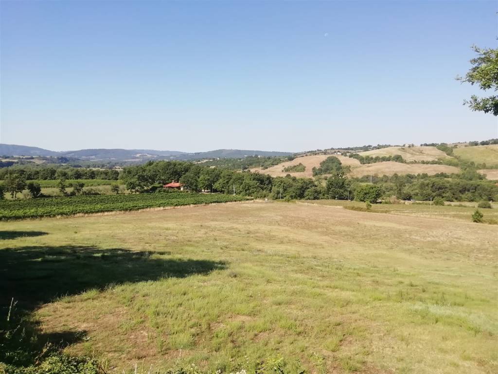property_image