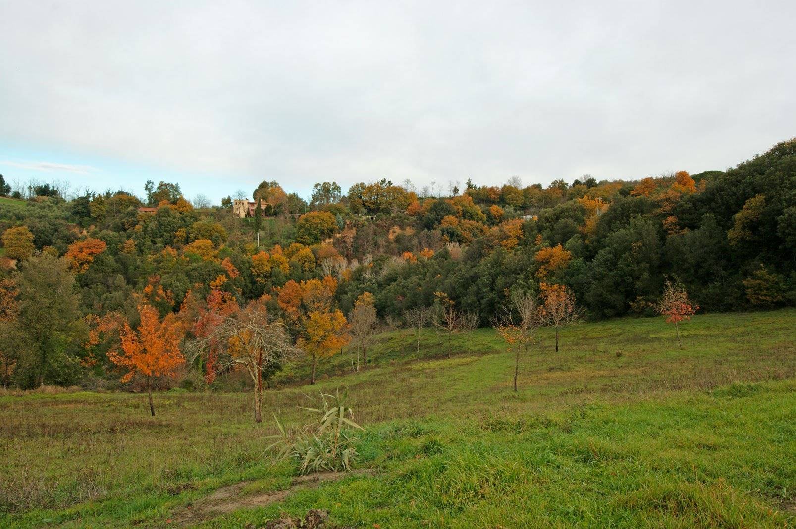 property_image