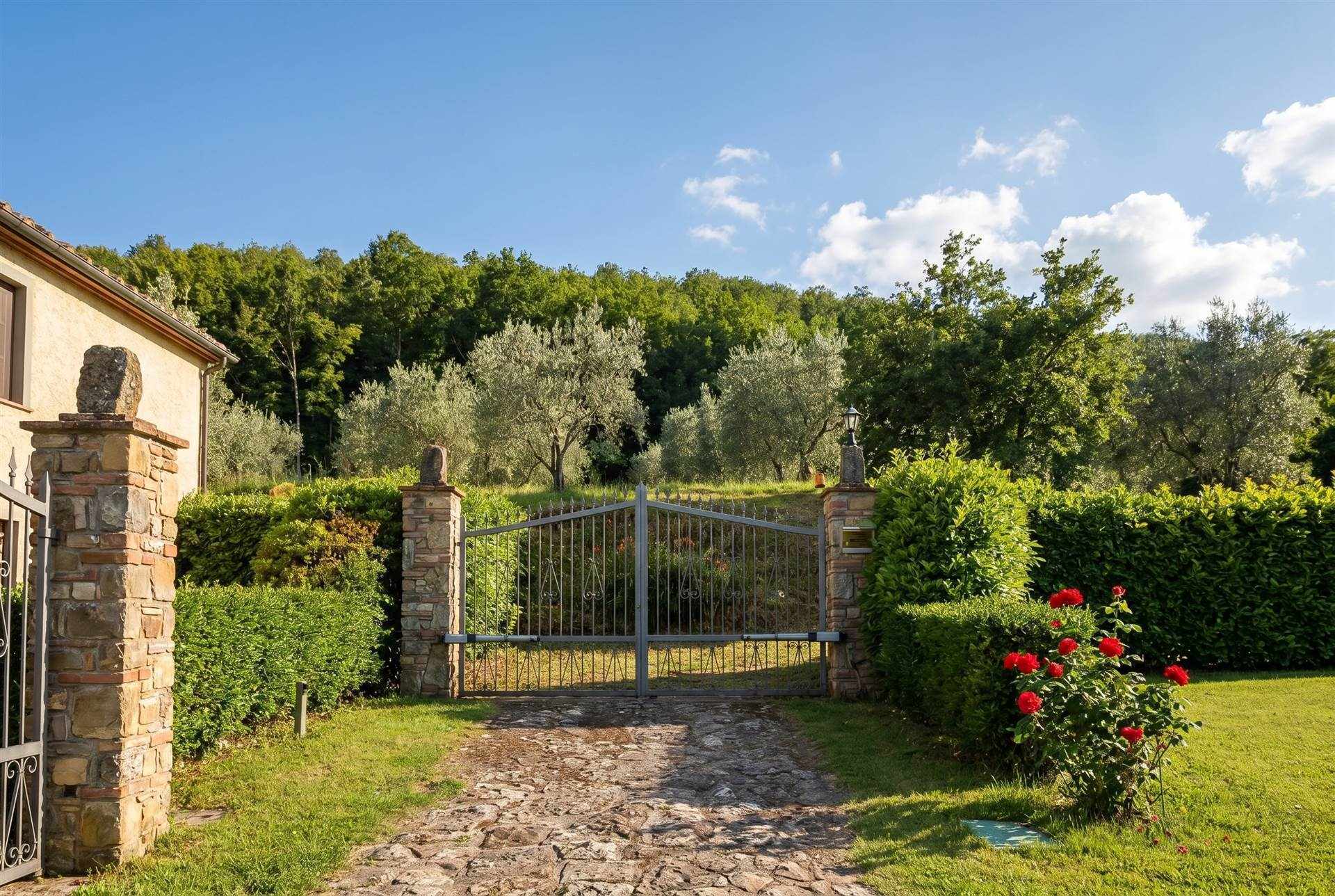 property_image