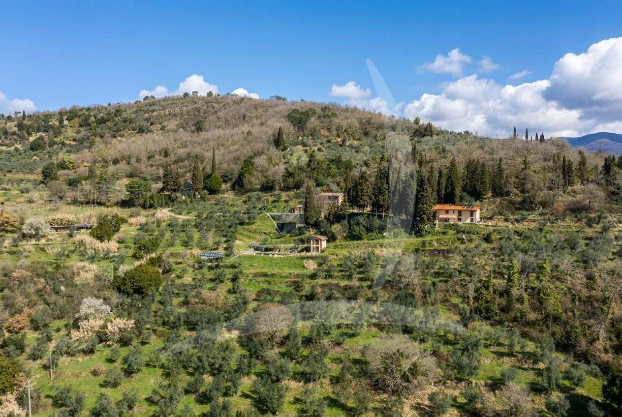 property_image