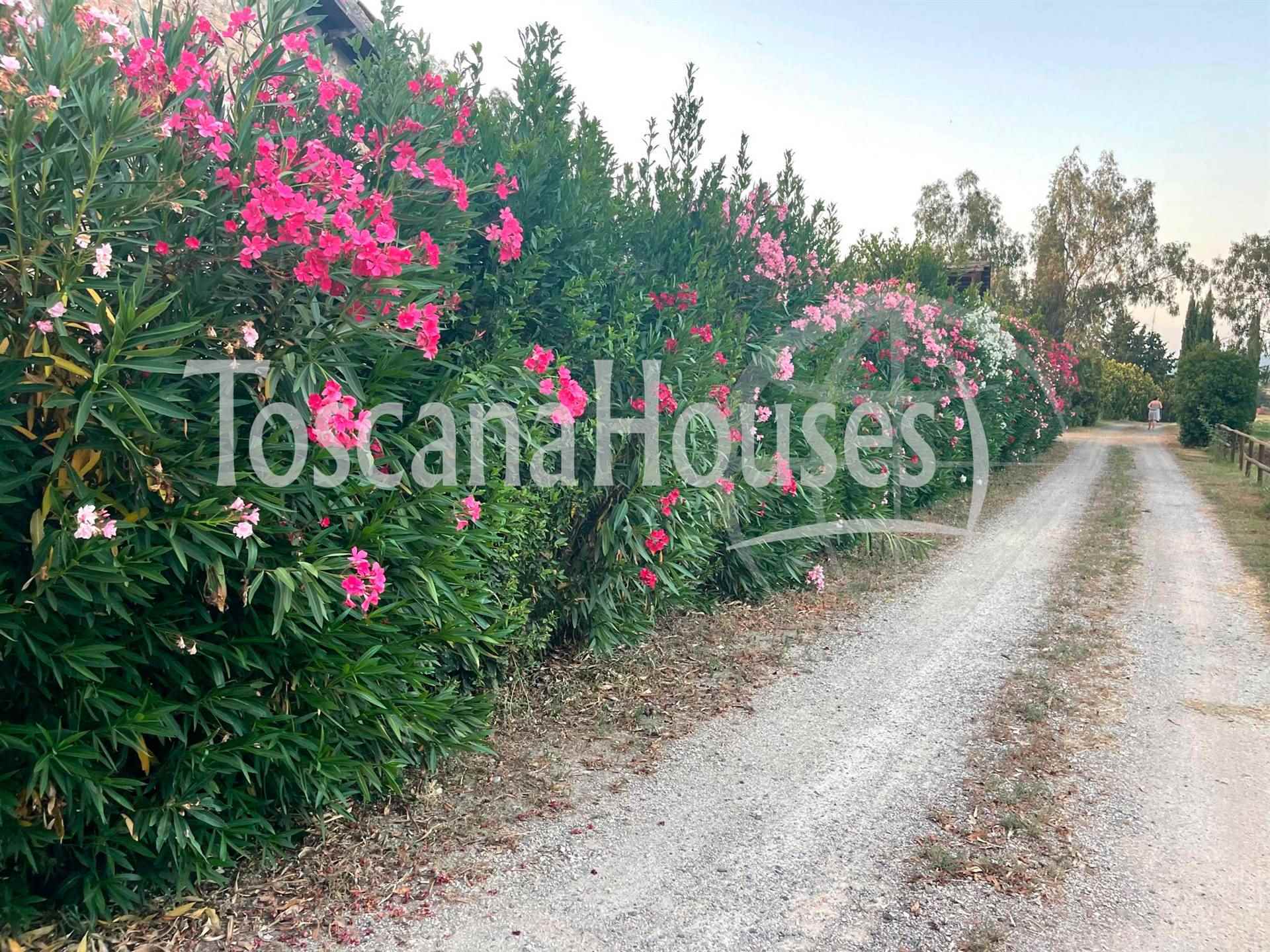 property_image