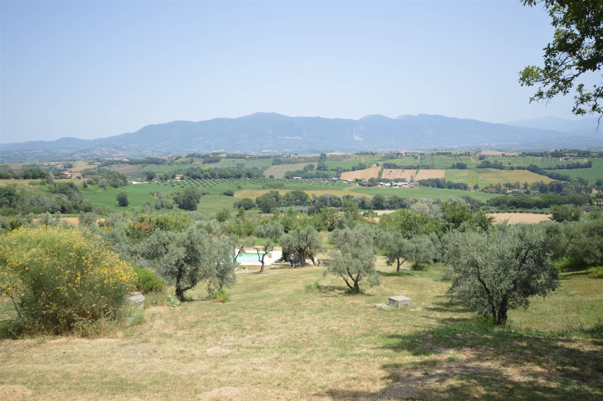 property_image