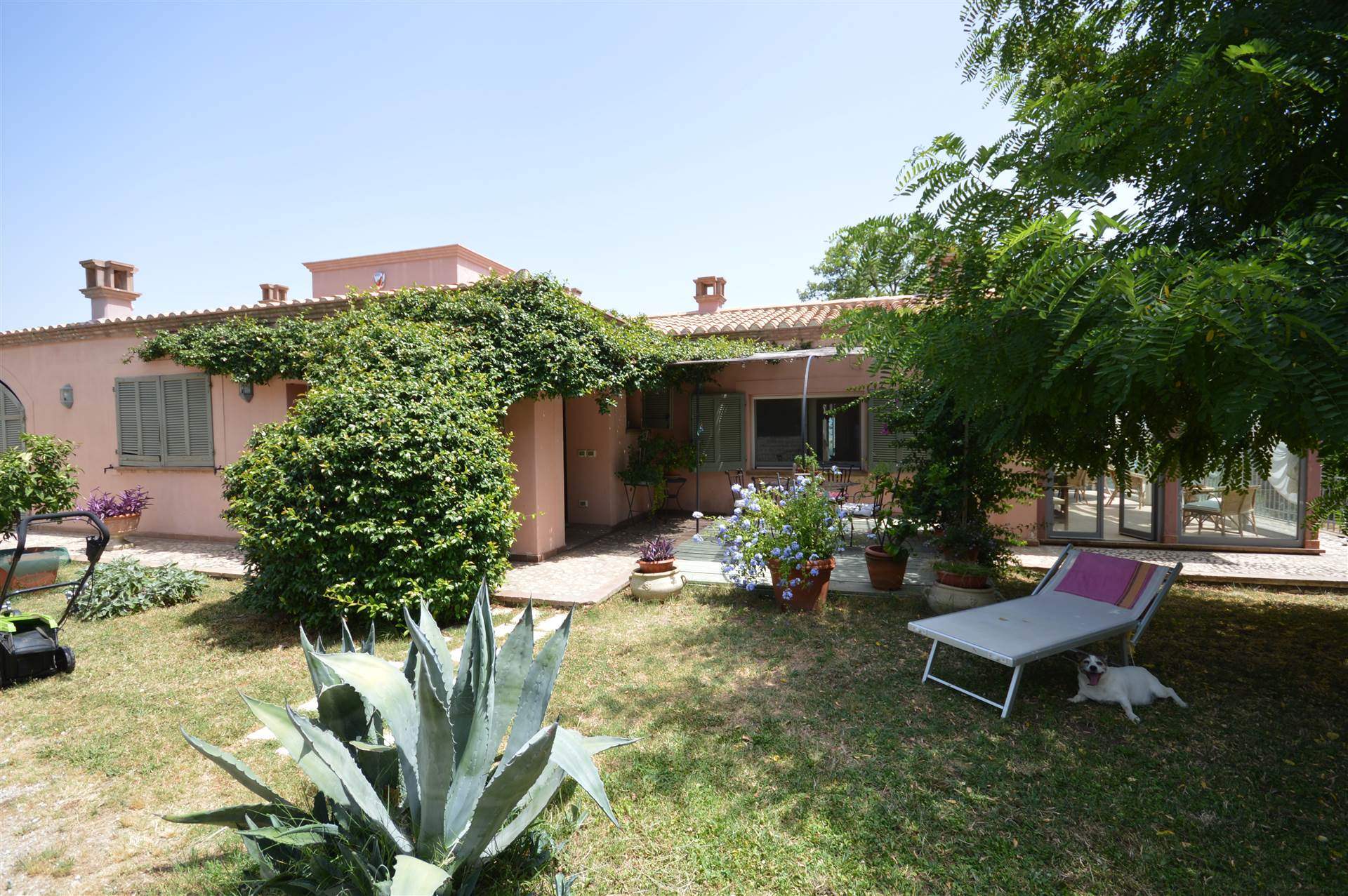 property_image