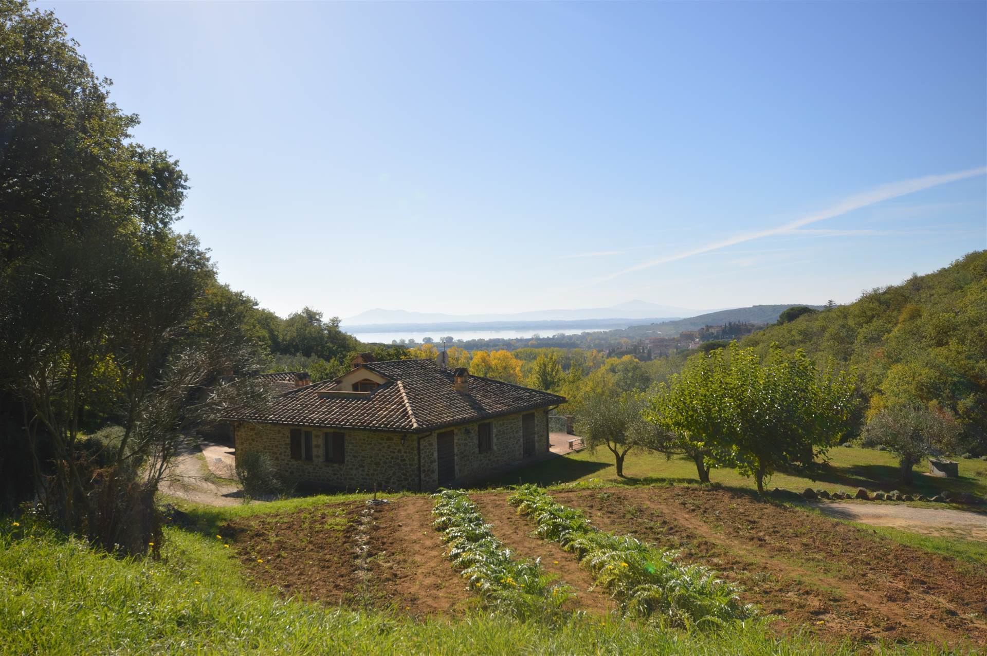 property_image