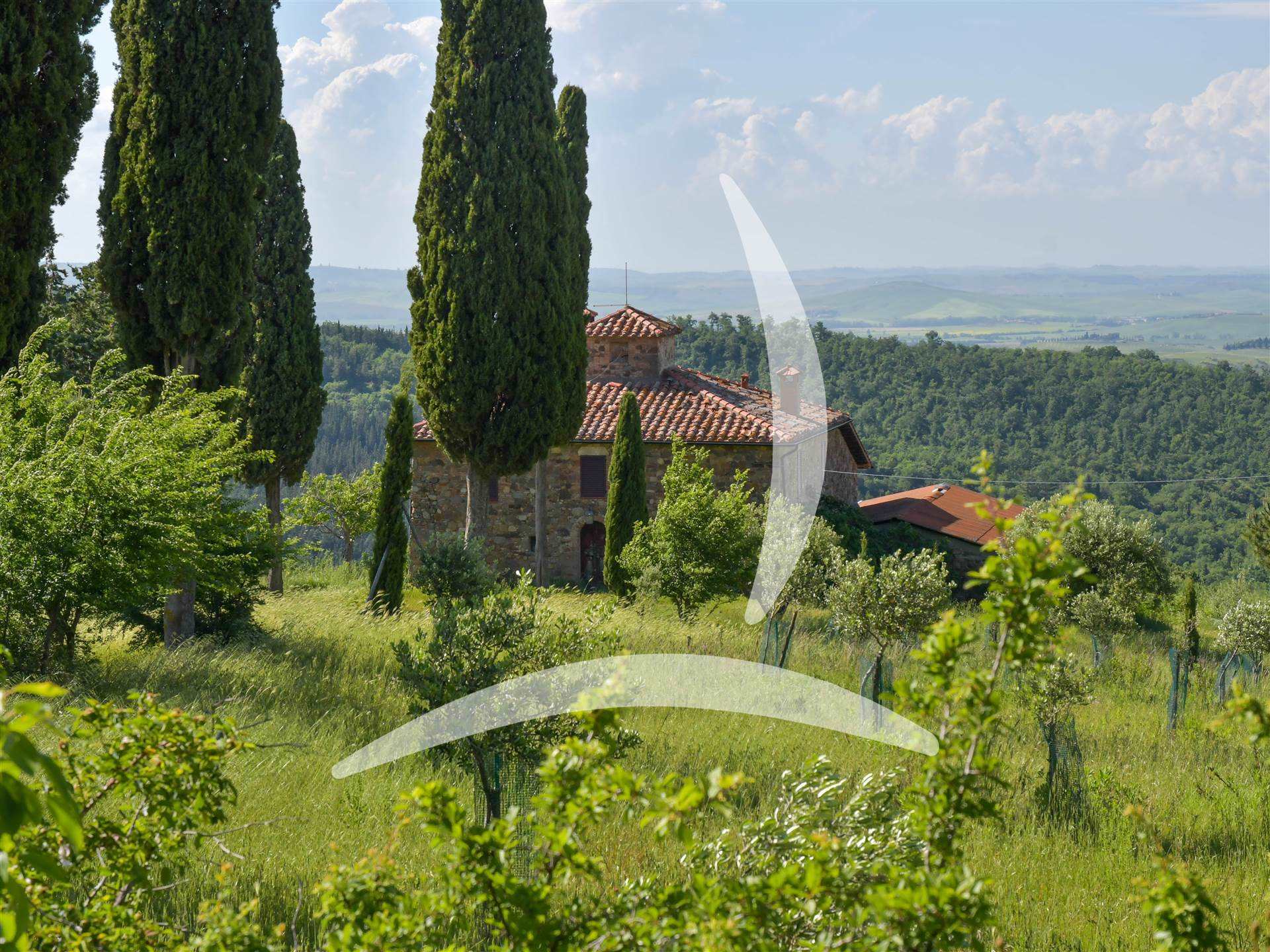 property_image