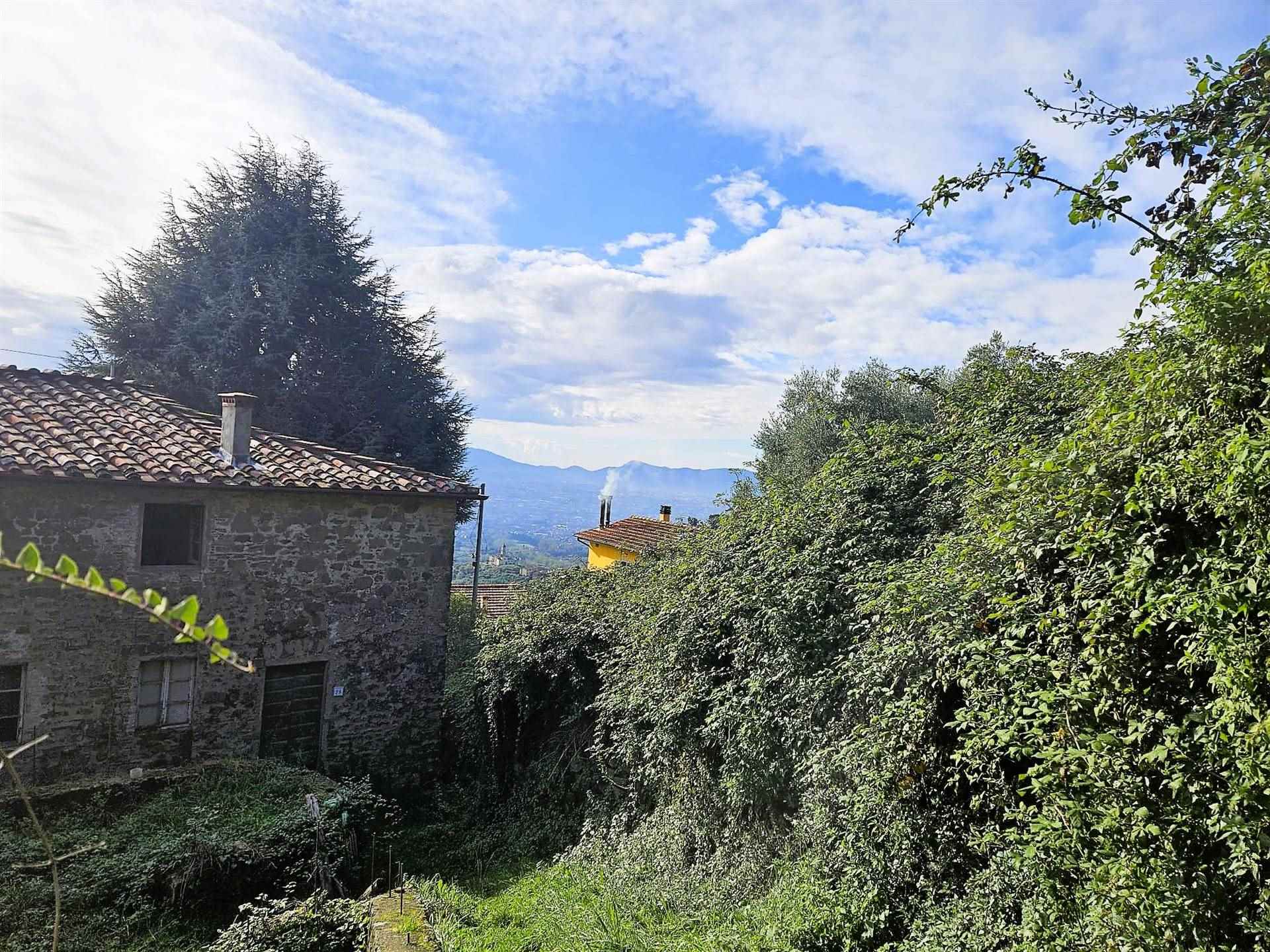 property_image