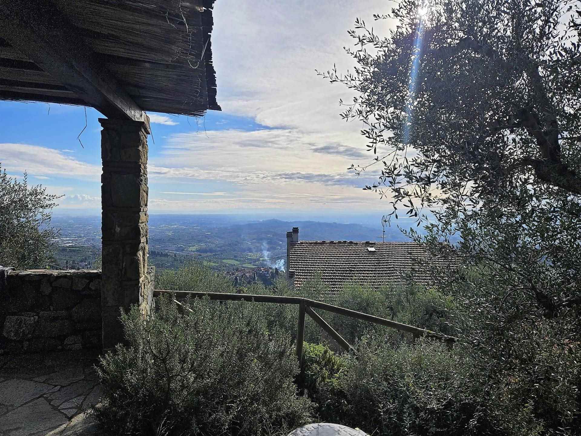property_image