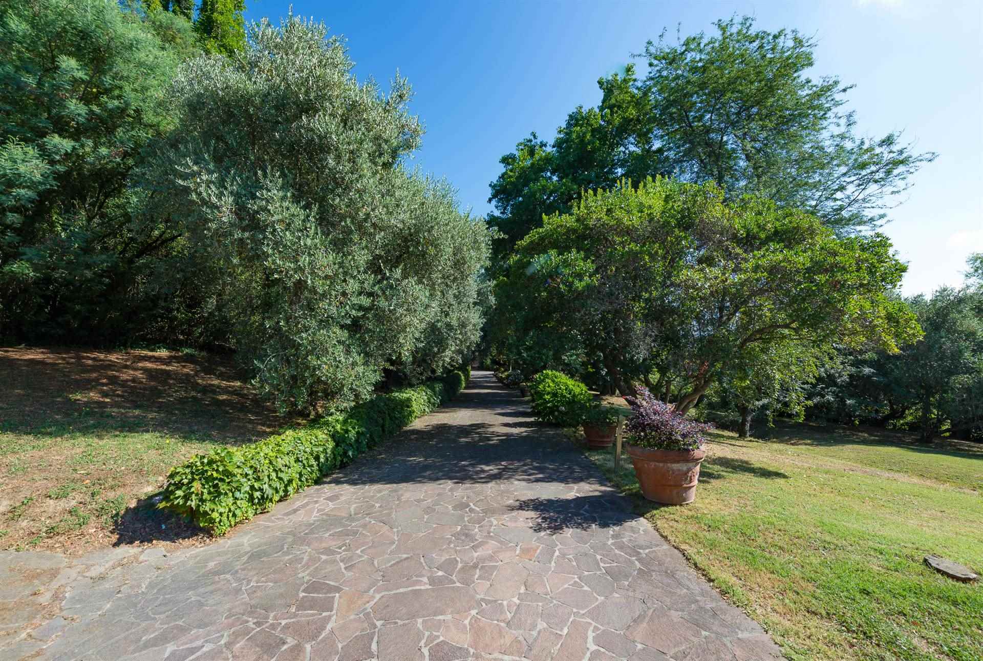 property_image