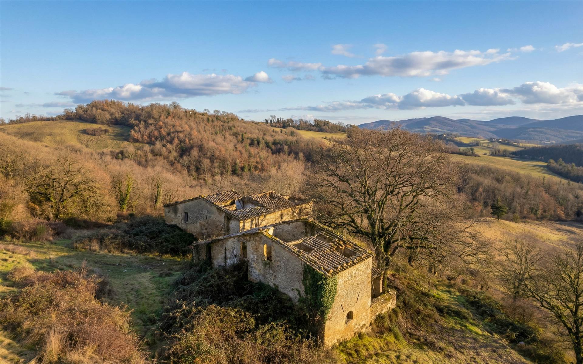 property_image