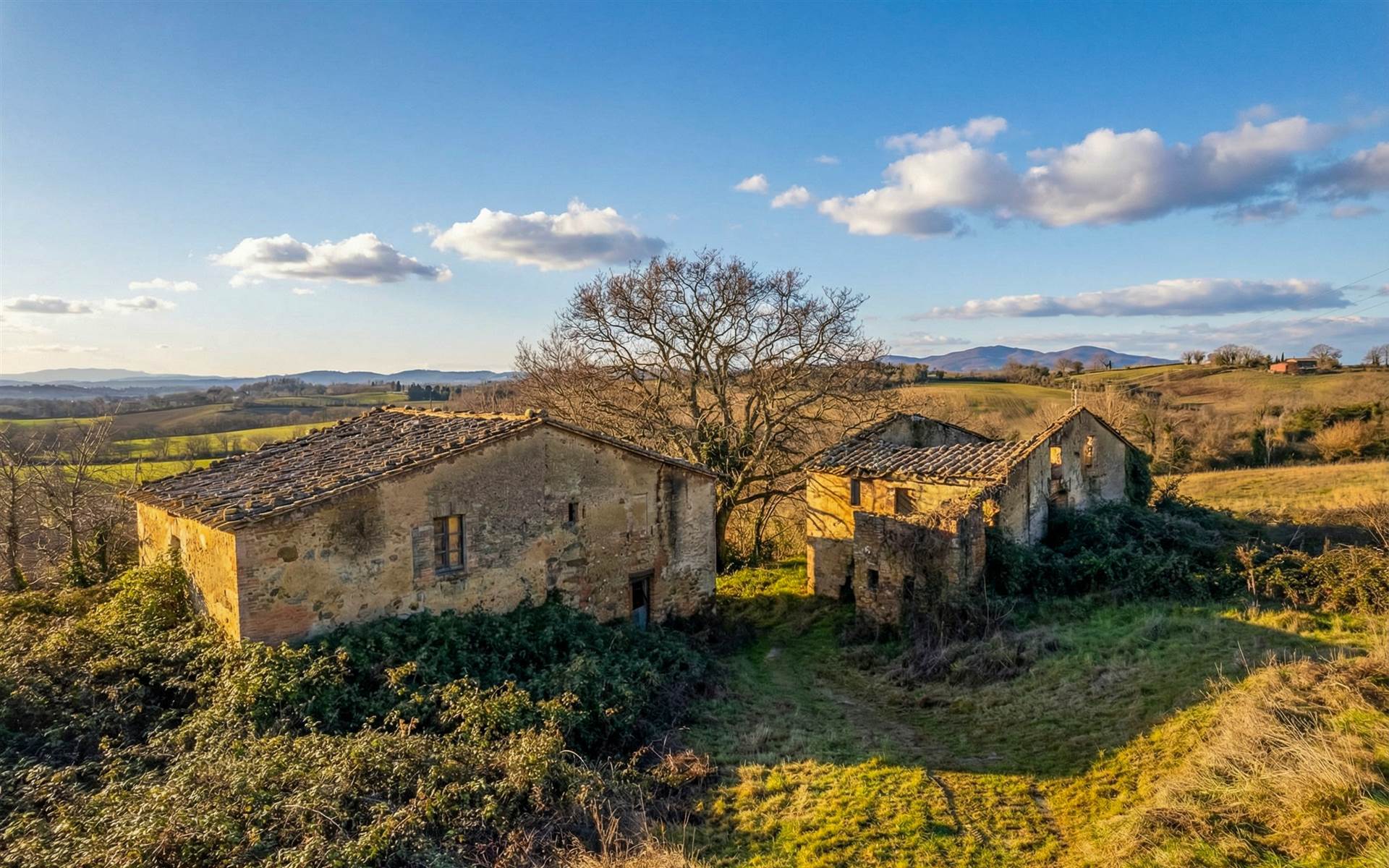 property_image