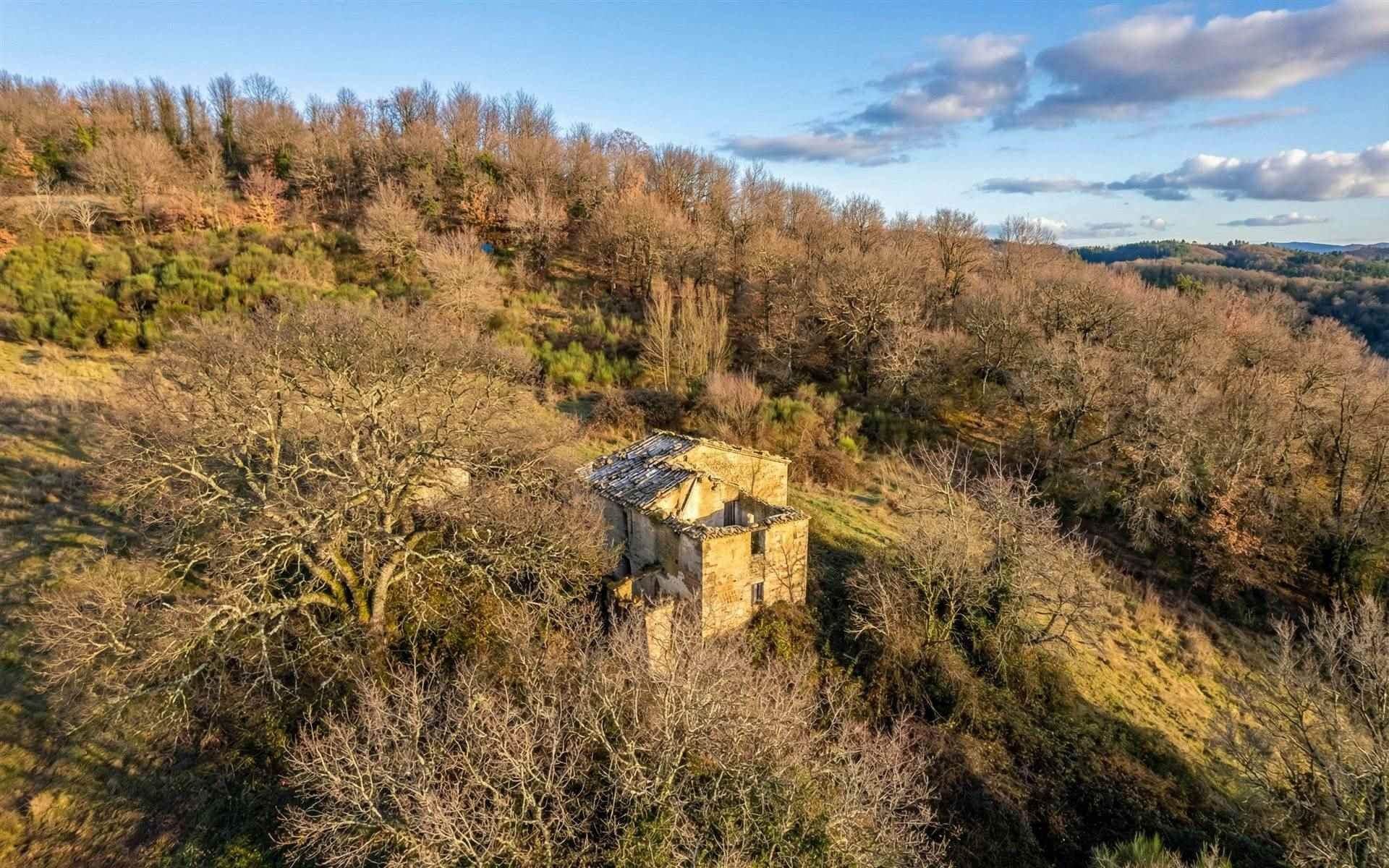 property_image