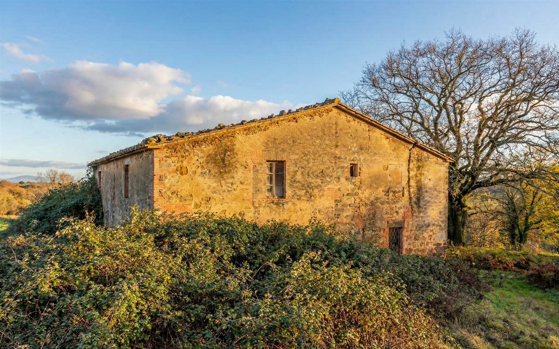 property_image