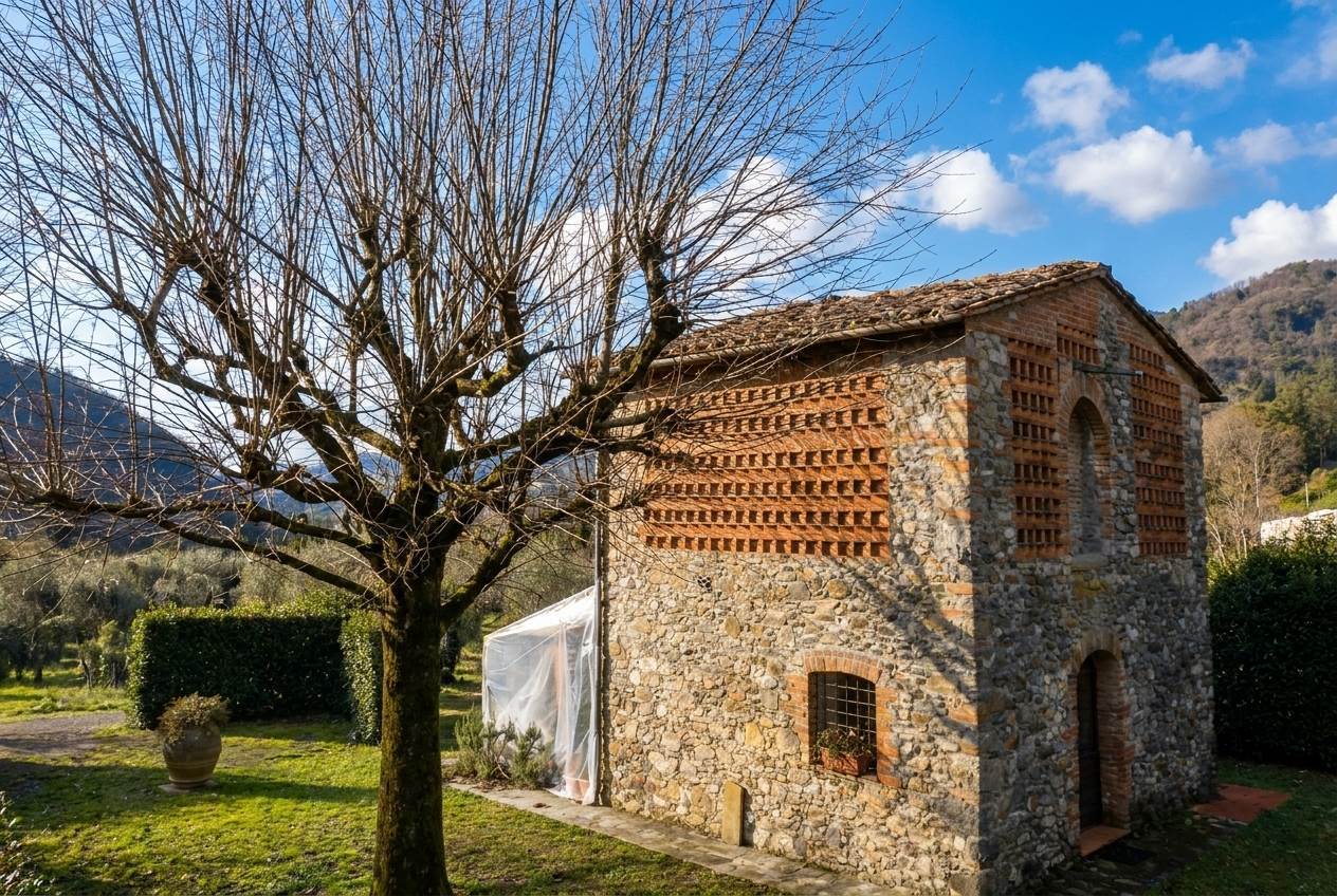property_image