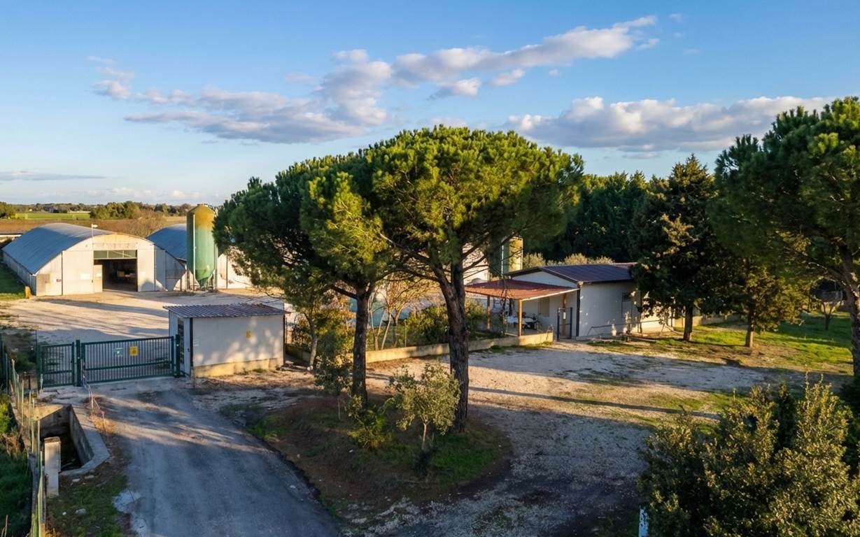 property_image