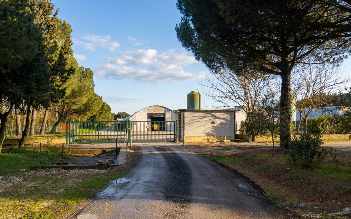property_image