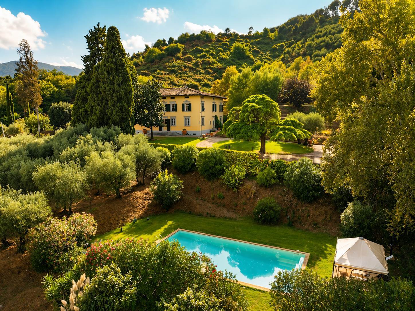 property_image