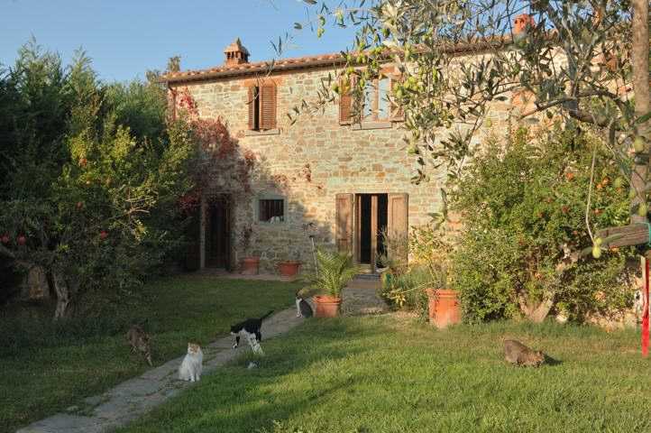 property_image