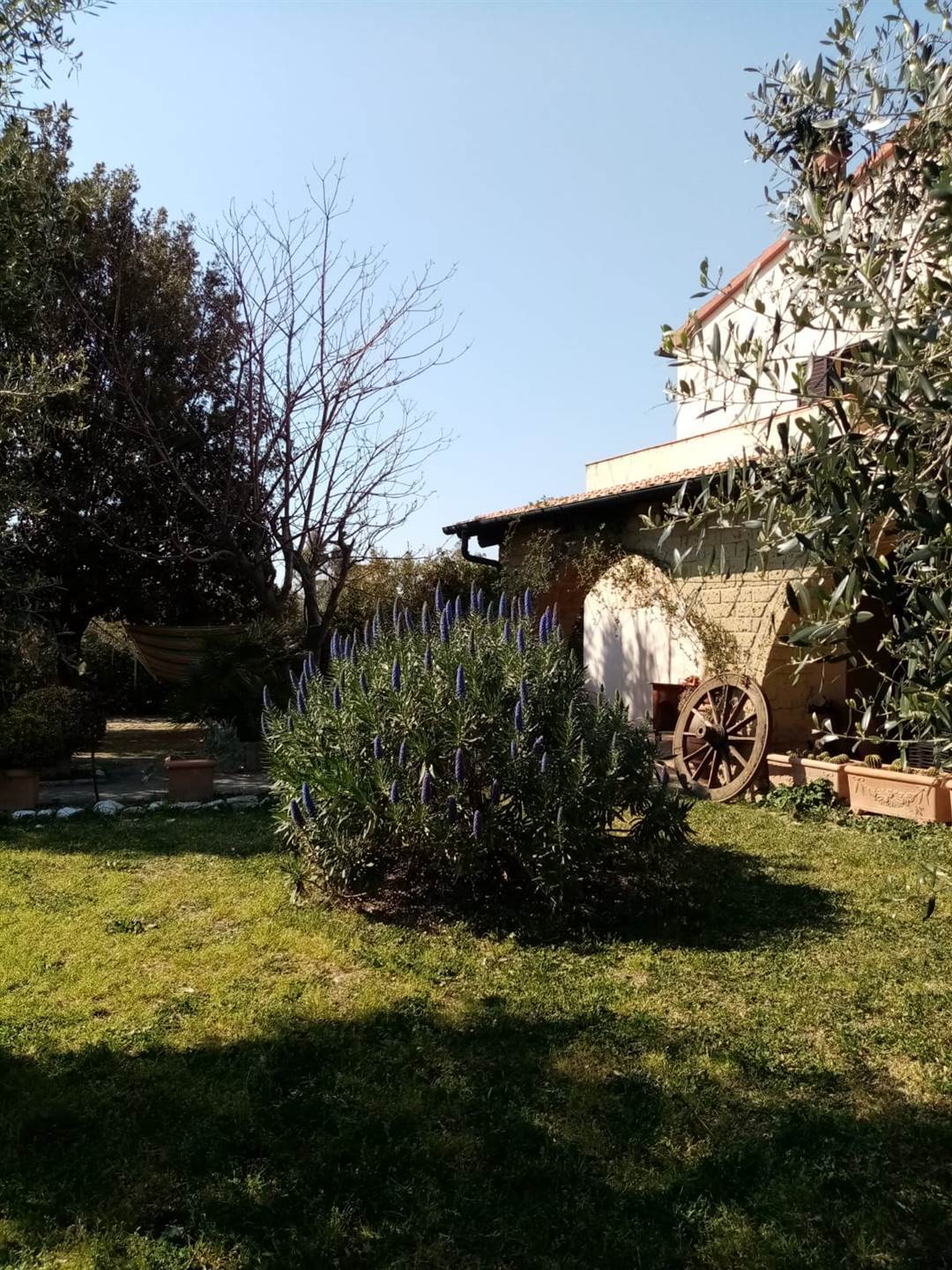 property_image