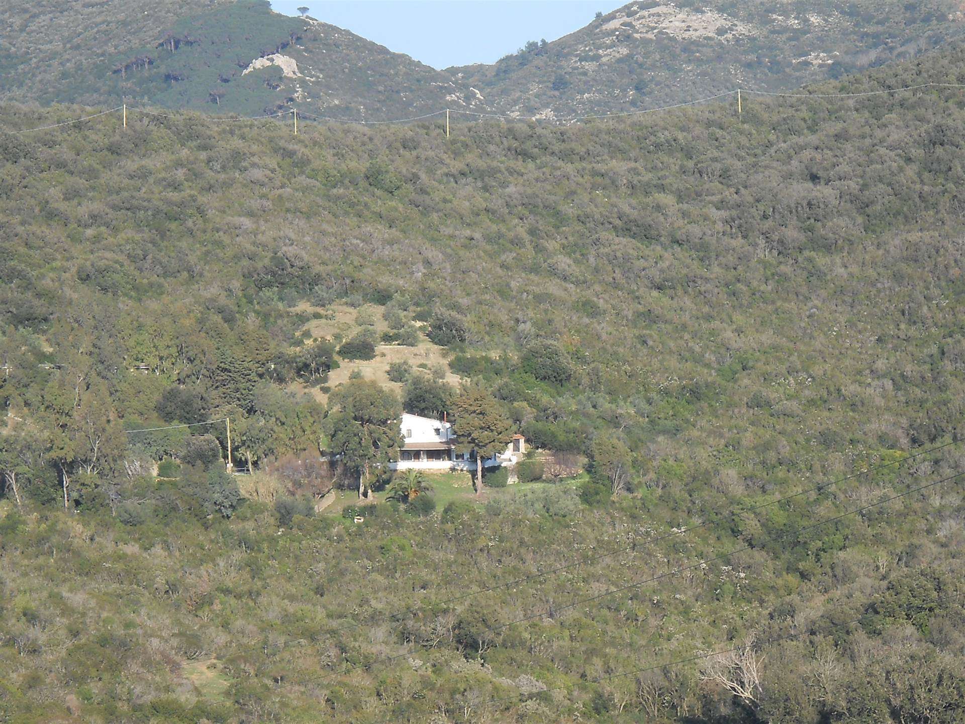 property_image