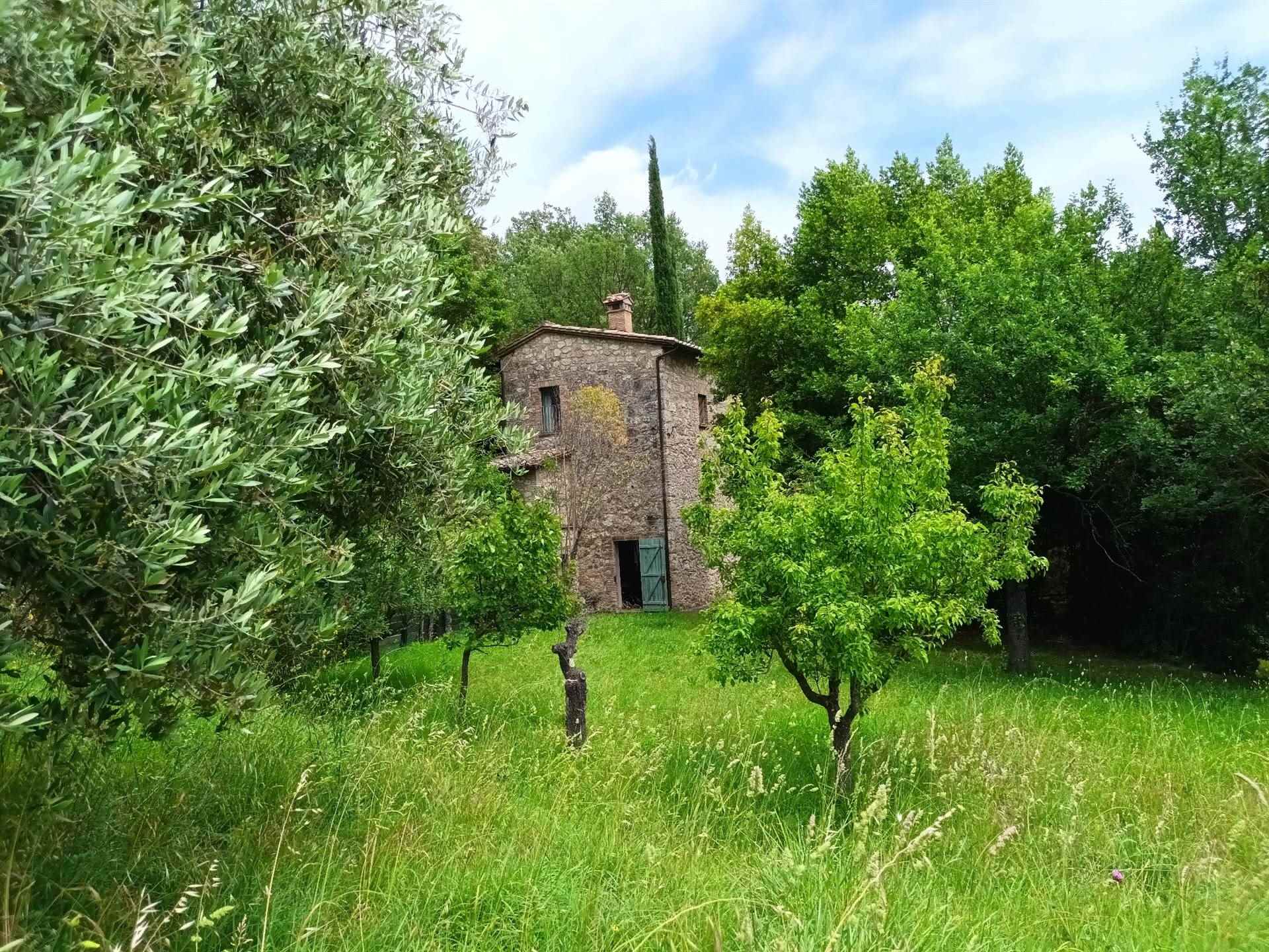 Qlistings - 1 Bedroom - Farmhouse - Toscana - For Sale - A5153TA2378458A Property Image