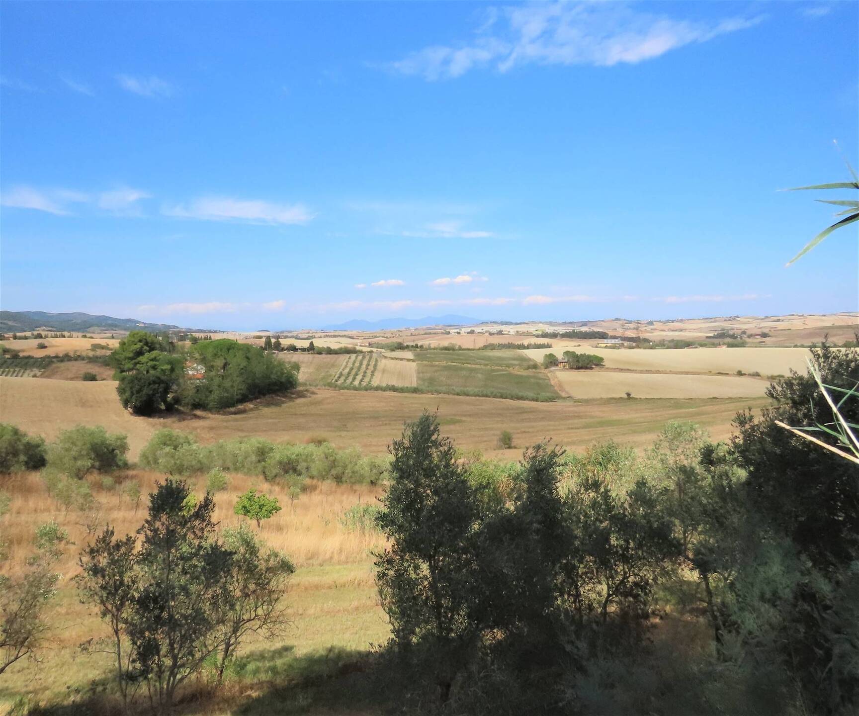 property_image