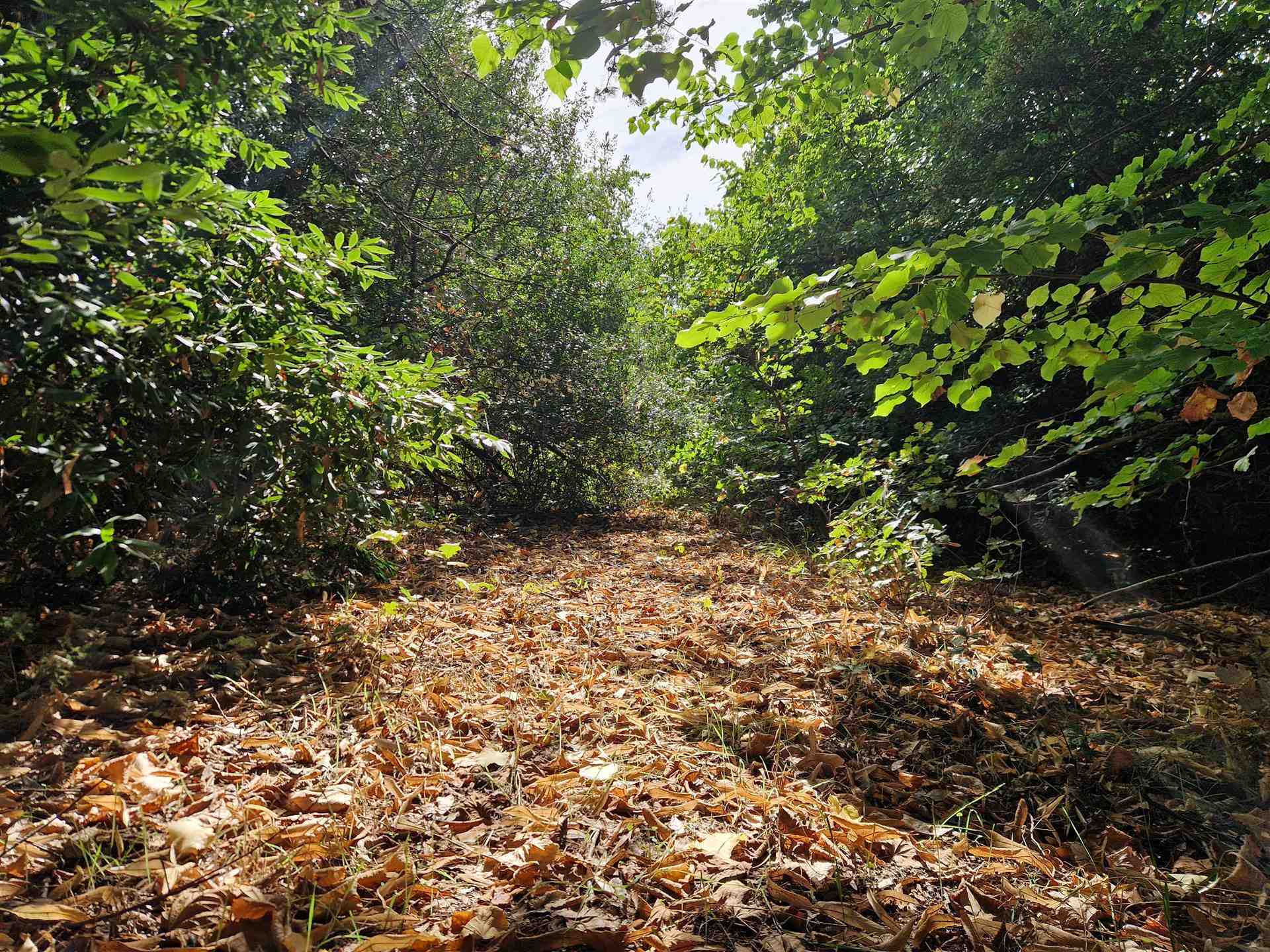 property_image