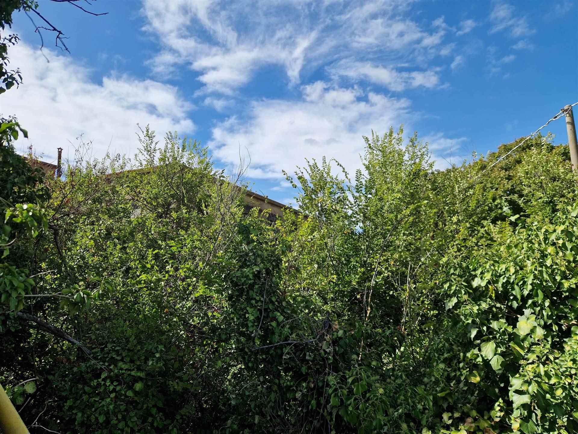 property_image