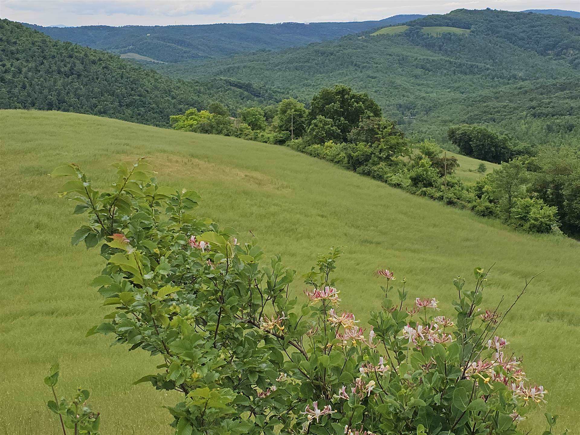 property_image