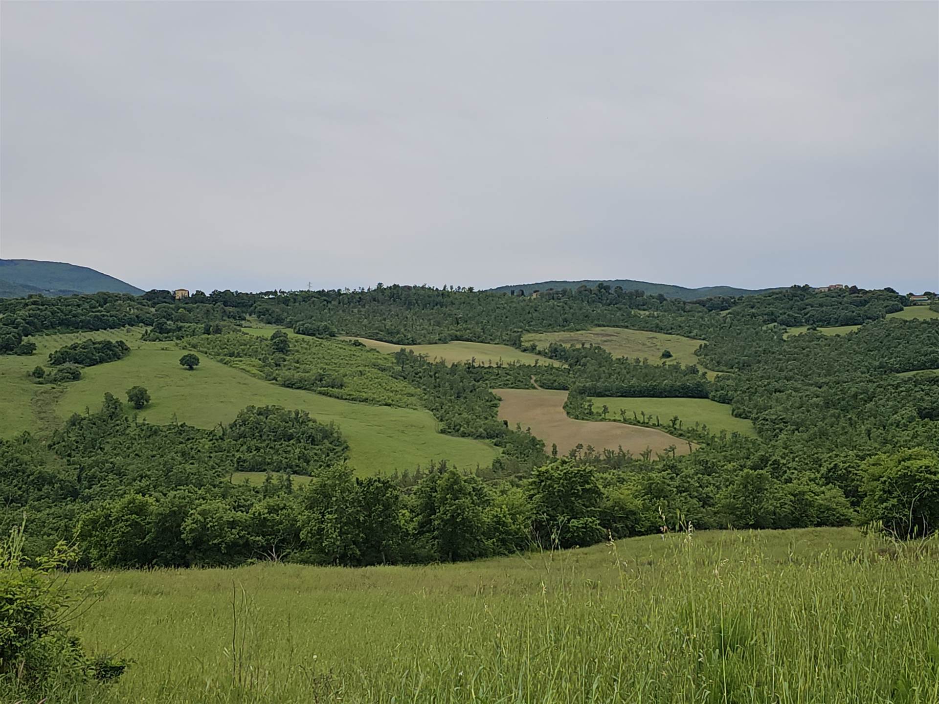 property_image