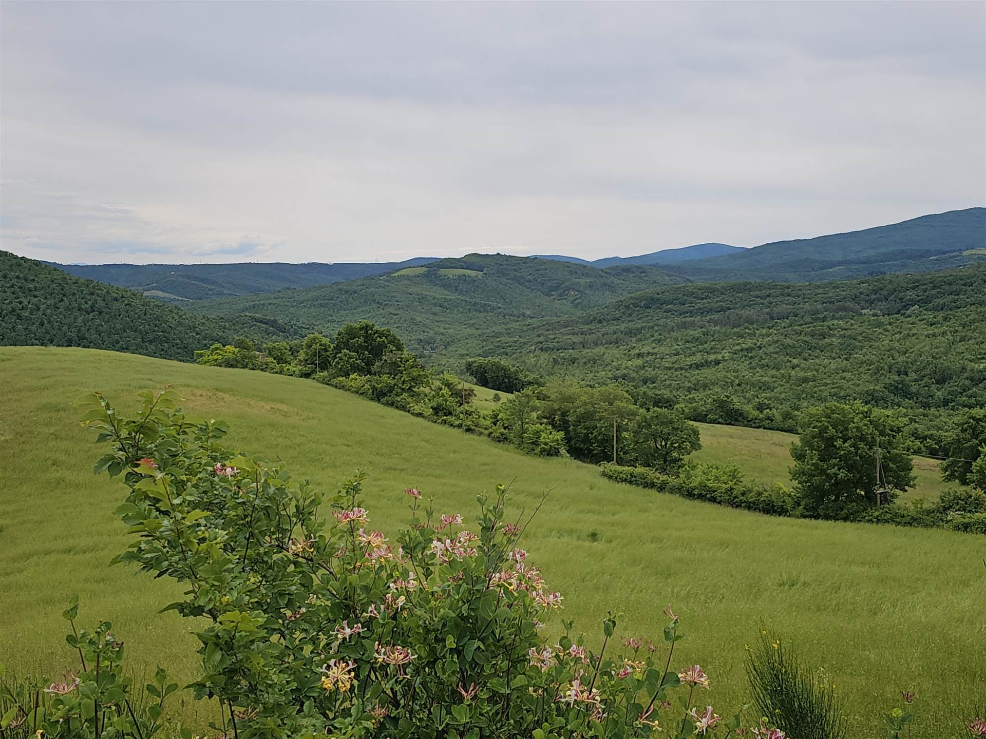 property_image