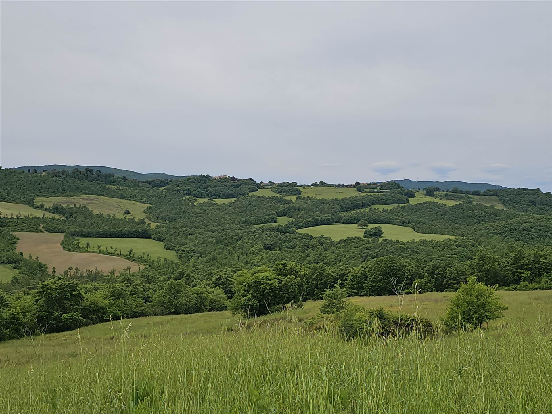 property_image