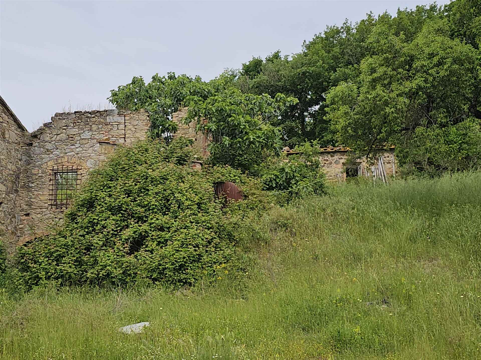 property_image