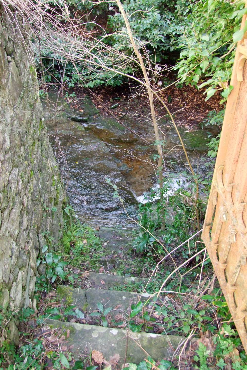property_image