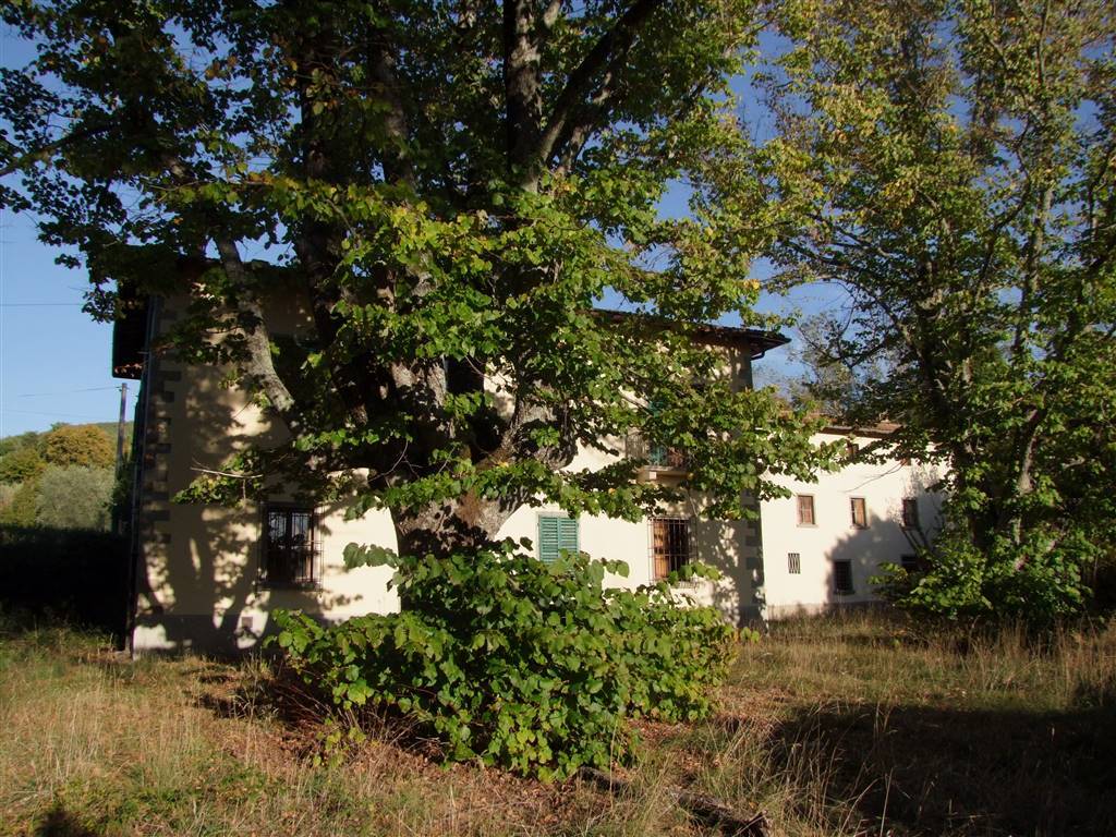 property_image