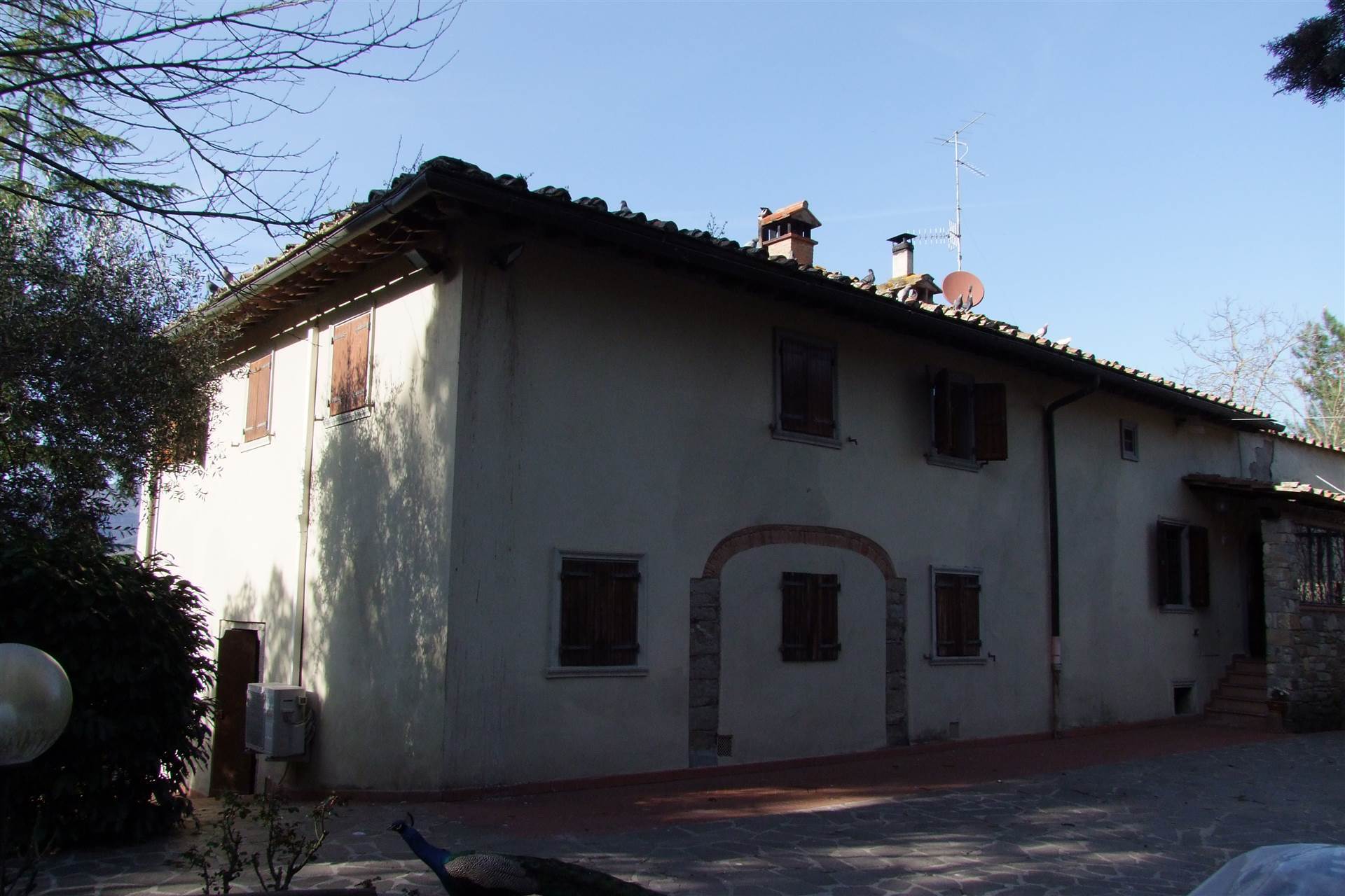 property_image