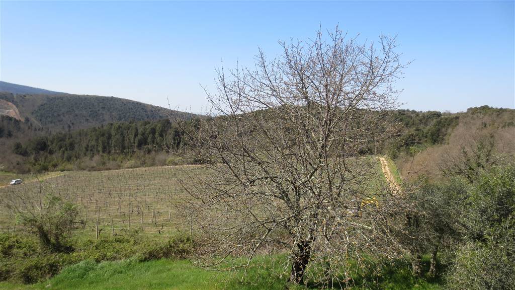 property_image
