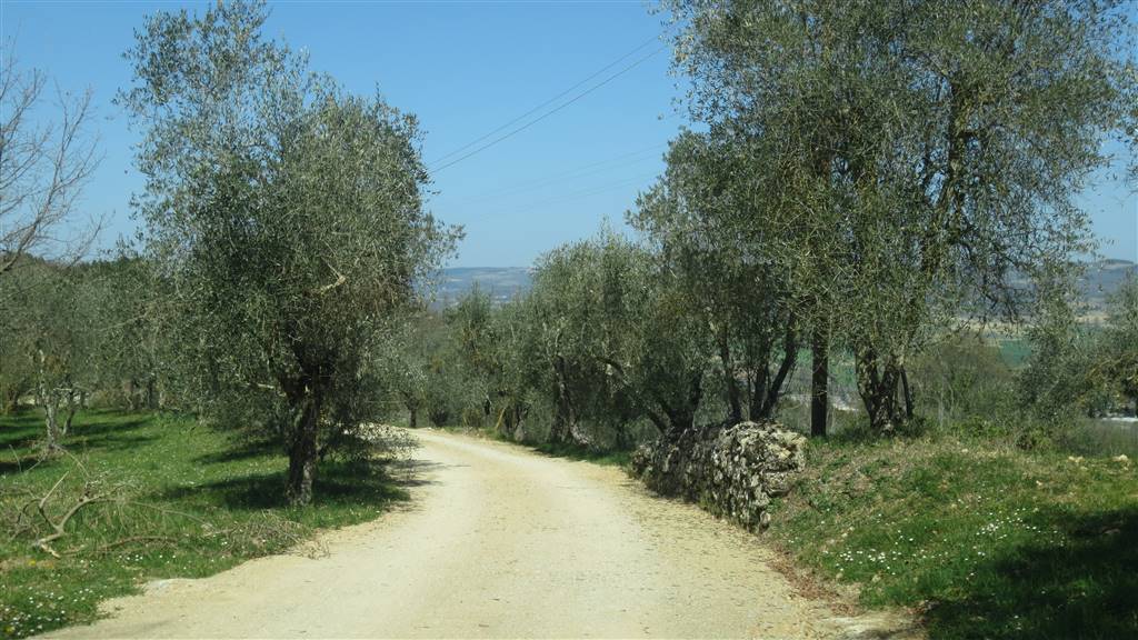 property_image