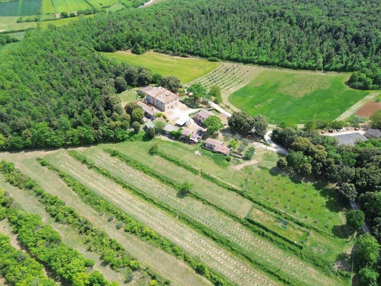 property_image