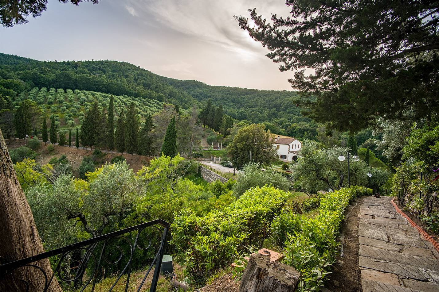 property_image