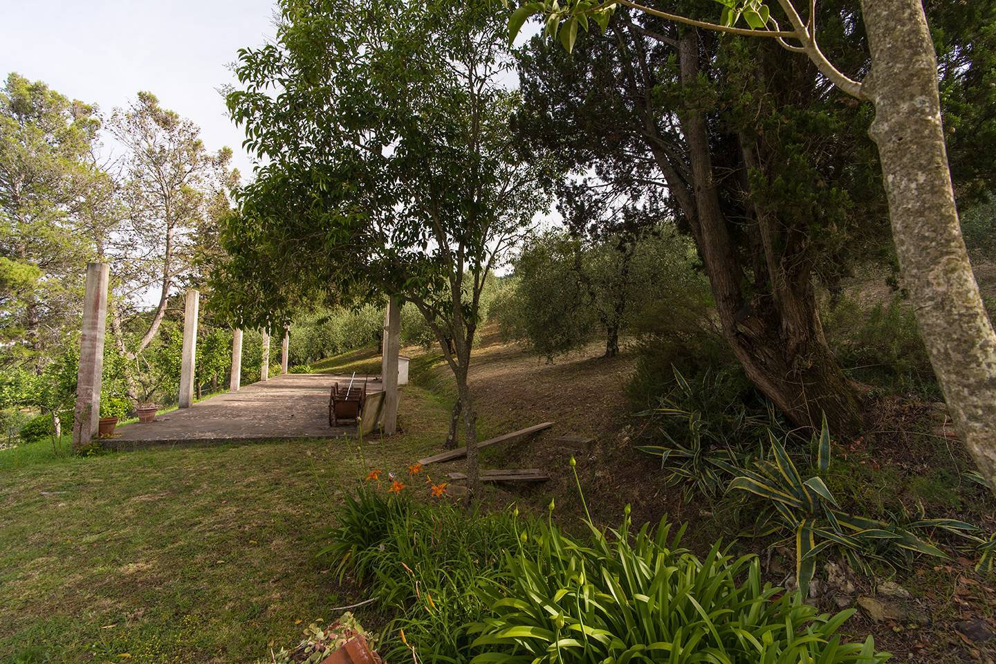 property_image