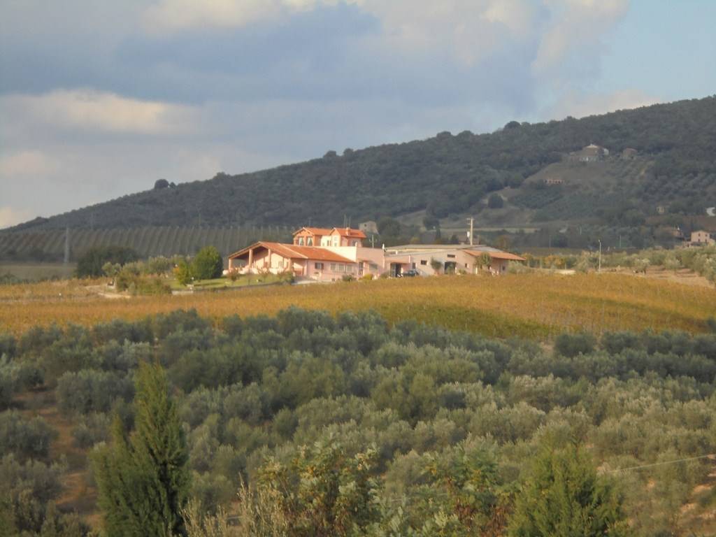 property_image