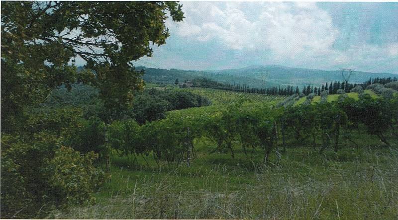 property_image