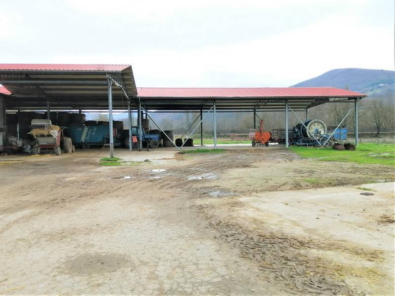 property_image