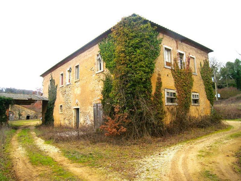 property_image