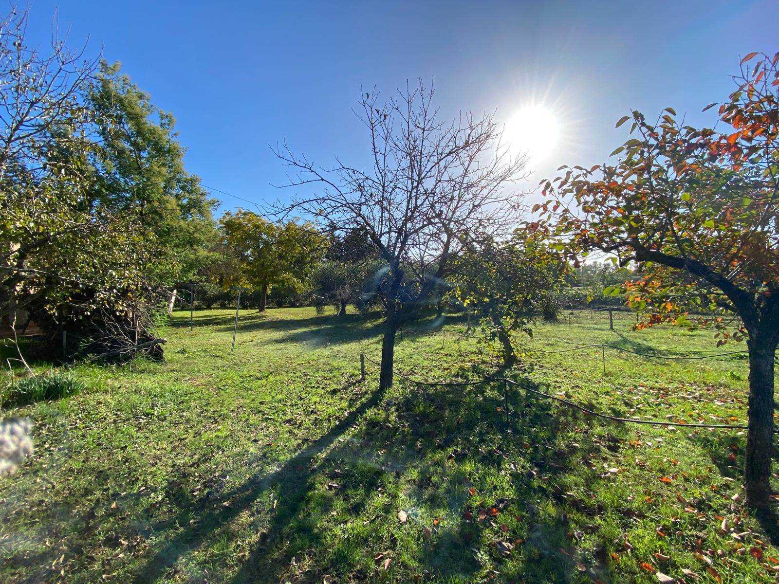 property_image