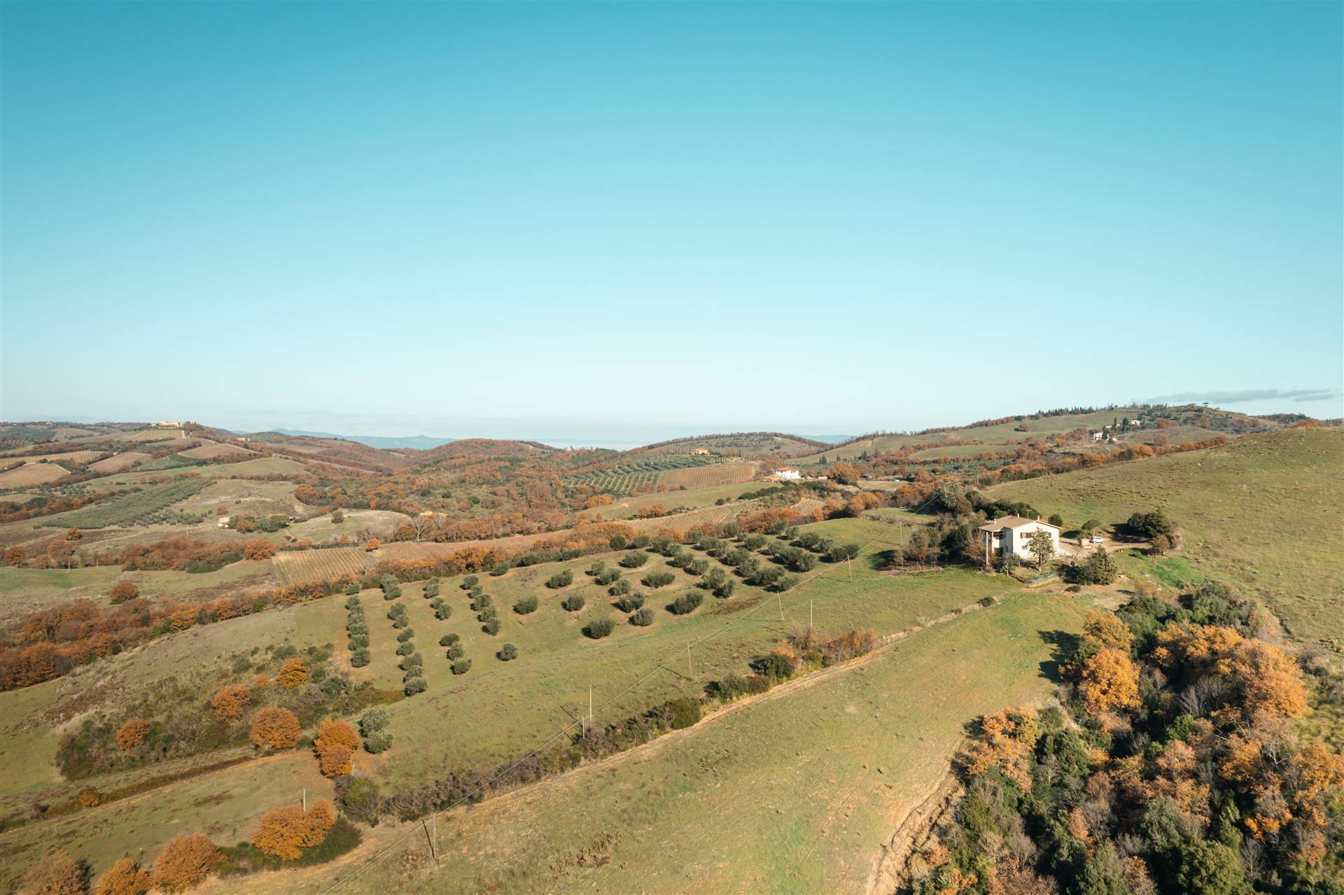 property_image