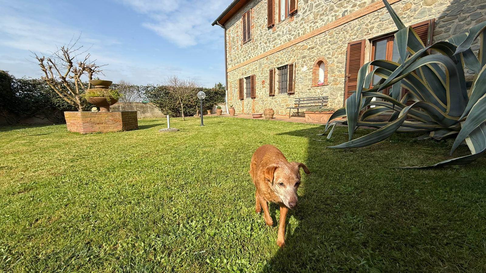 property_image